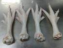 Processed and Unprocessed Chicken Feet/Paws for sale