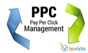 Best Dallas Pay Per Click Services at Best Price