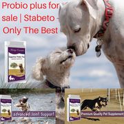 probio plus for sale | Stabeto - Only The Best