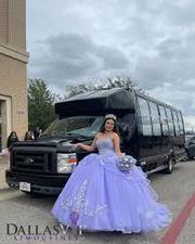 Dallas Vip Limousines